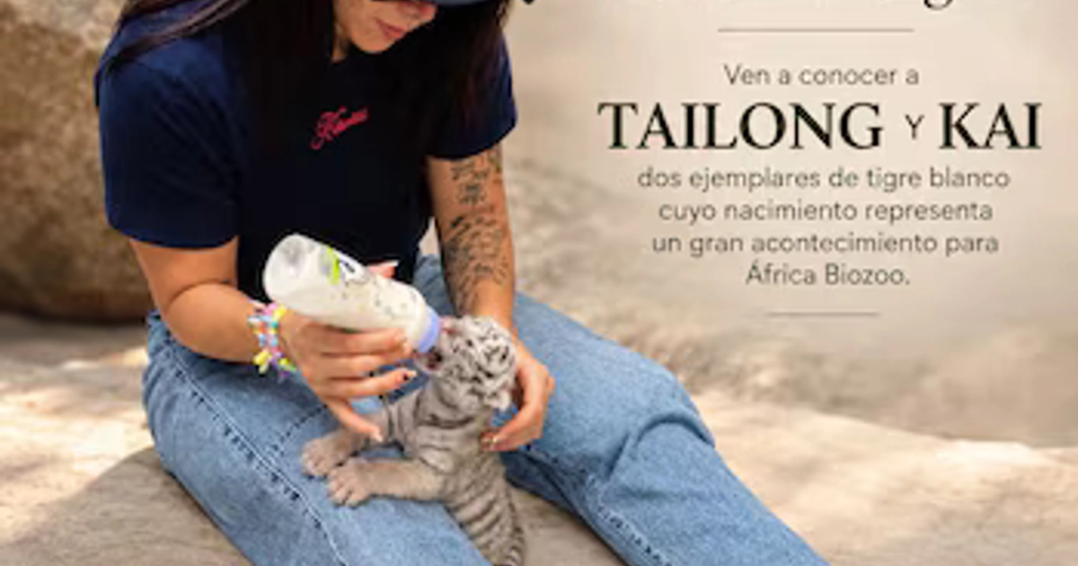 Una mujer sentada en el suelo da un biberón a una cría de tigre blanco junto a un cartel con texto y logotipo