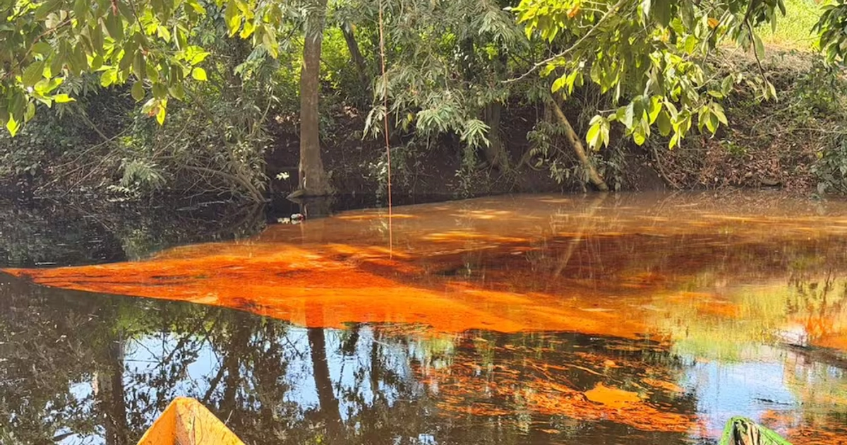 Al menos siete kilómetros del río Chacalapa fueron contaminados por el producto. (15/10/26) Foto: Heidi Castellanos/ Cortesía