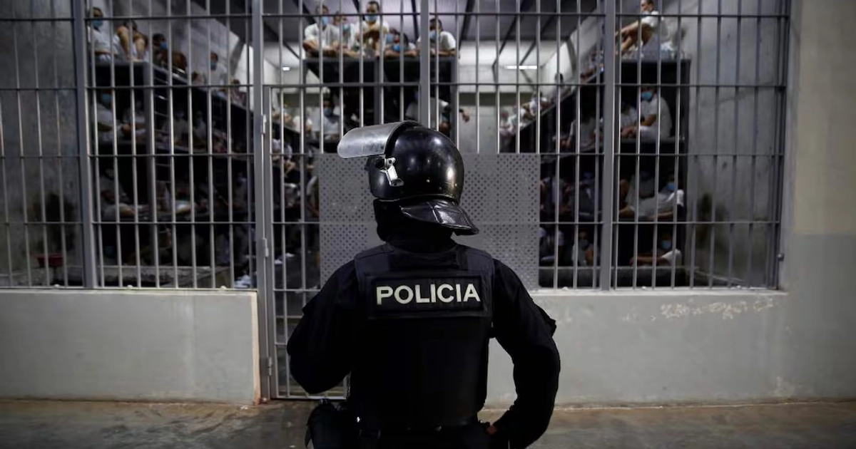 Fotografía de archivo del 4 de abril de 2025 que muestra a un policía custodiando una celda en el Centro de Confinamiento del Terrorismo (Cecot), en Tecoluca (El Salvador). Foto: EFE