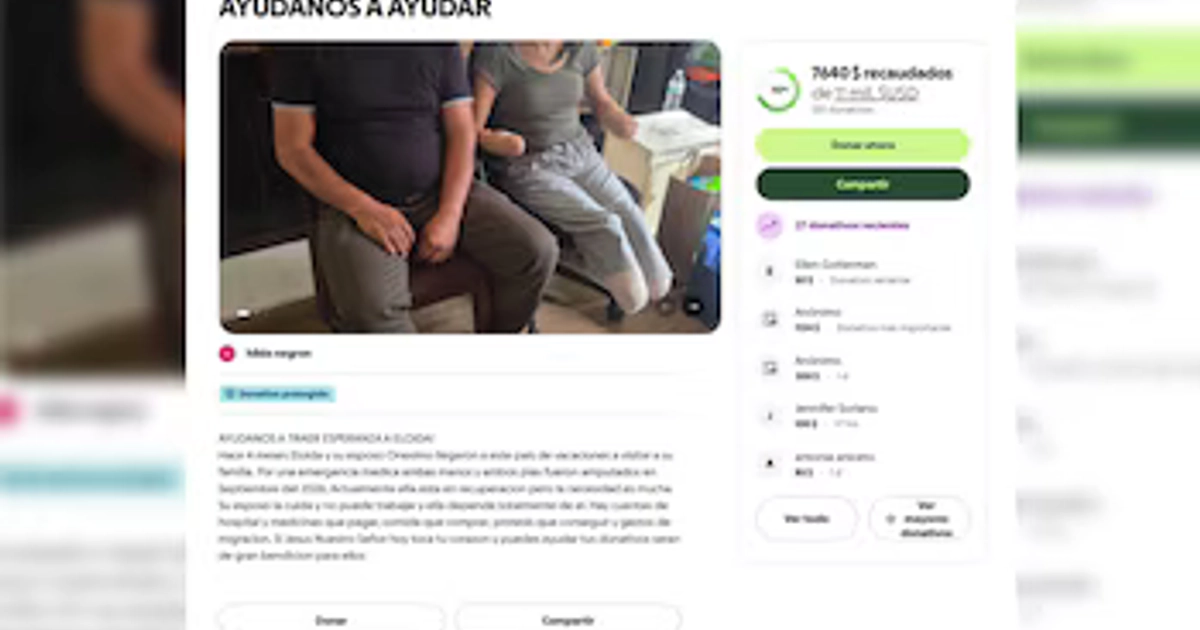 Captura de pantalla de un sitio web de donaciones que muestra una fotografía, un texto explicativo y una barra de progreso de recolección