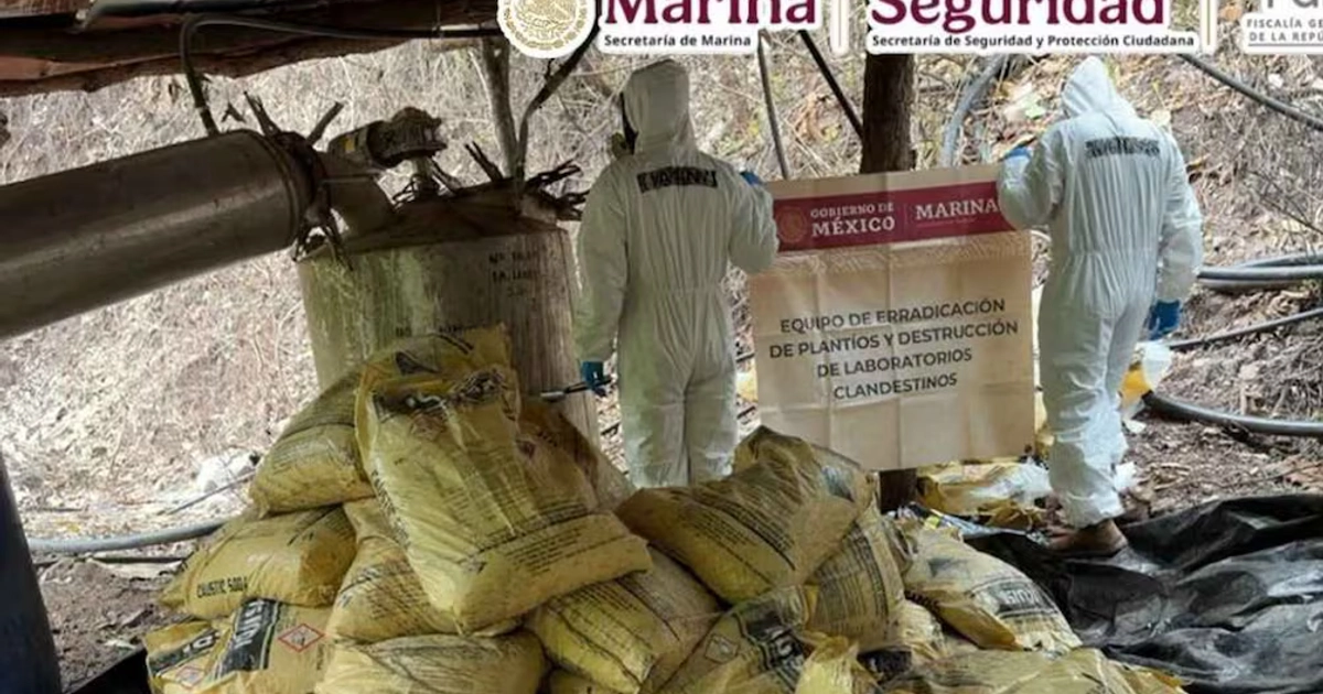 En la intervención, se aseguraron 4,500 litros de precursores químicos, 2,902 kilos de sustancias sólidas y equipo para elaborar drogas sintéticas. 16/10/2026. | Foto: Cortesía: Gabinete de Seguridad.