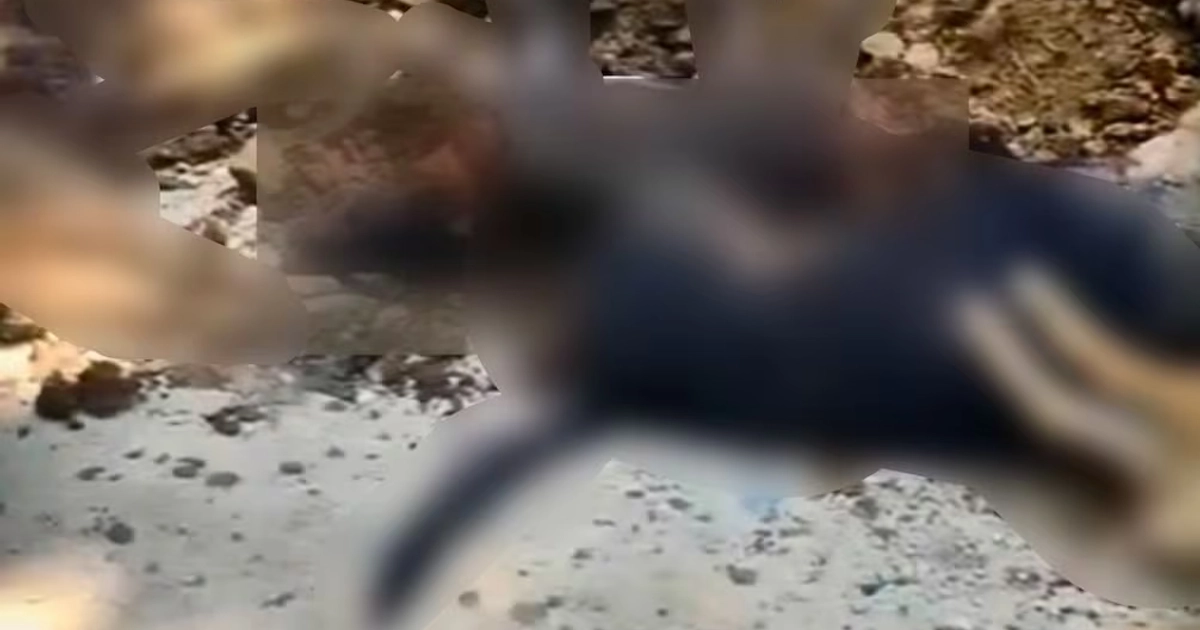 Ante la falta de presencia de autoridades, los vecinos enterraron a los perros, por el mal olor. 30/10/2026. | Foto: Cortesía de los pobladores de Las Margaritas, Pijijiapan.