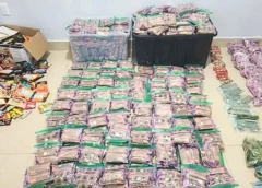 Aseguran mil 250 bolsas de frituras con marihuana en Mazatlán; también decomisan 460 barras de chocolate y golosinas con la misma droga