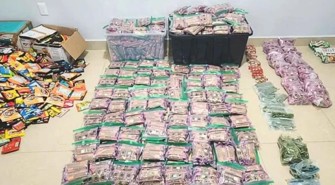 Aseguran mil 250 bolsas de frituras con marihuana en Mazatlán; también decomisan 460 barras de chocolate y golosinas con la misma droga