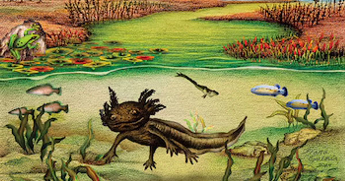 Ilustración de un ajolote bajo el agua rodeado de peces, algas, lirios acuáticos y una rana