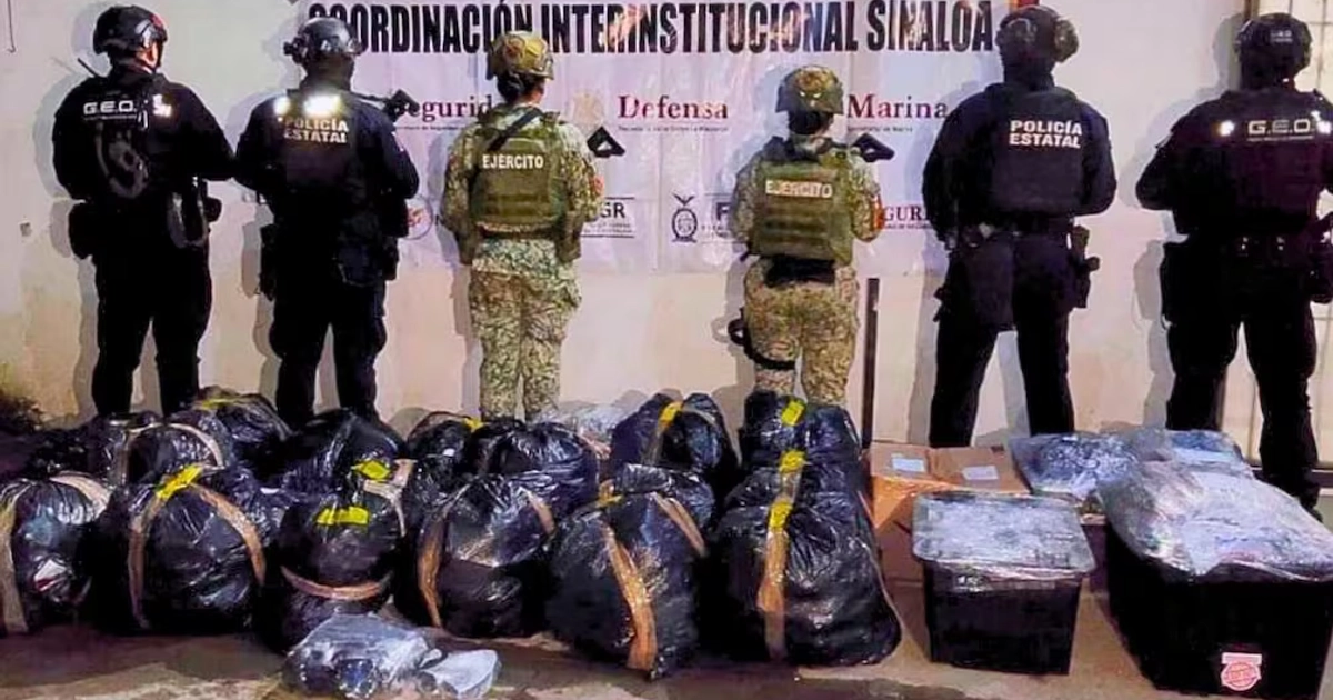 También aseguraron cartuchos y cargadores. 03/10/2026. | Foto: Coordinación Interinstitucional Sinaloa.