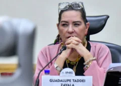 Taddei presenta su renuncia al INE ante la Cámara de Diputados