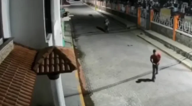 Hombre Es Buscado En Puebla Tras Golpear A Un Perrito En Plena Calle