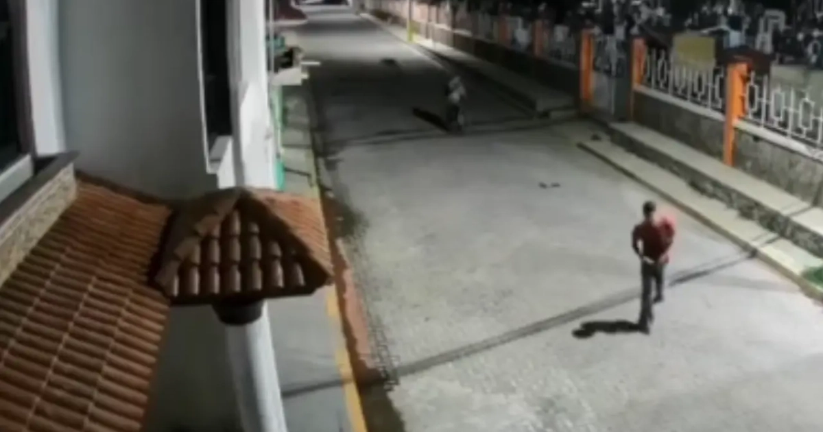 Referencia de perro color negro y puño de hombre por el reciente caso de violencia hacia un animal en Puebla.| Foto: Canva