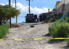 Terror en plena calle: captan a un perro cargando una mandíbula humana