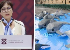 Semarnat defiende reducción de 86% en zona de protección de la vaquita marina