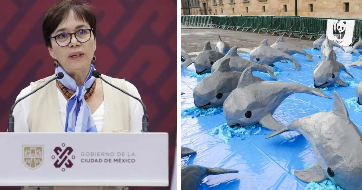 Semarnat defiende reducción de 86% en zona de protección de la vaquita marina