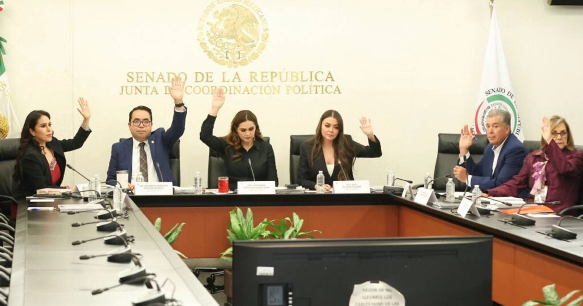 Comisión del Senado. Foto: Senado de la República