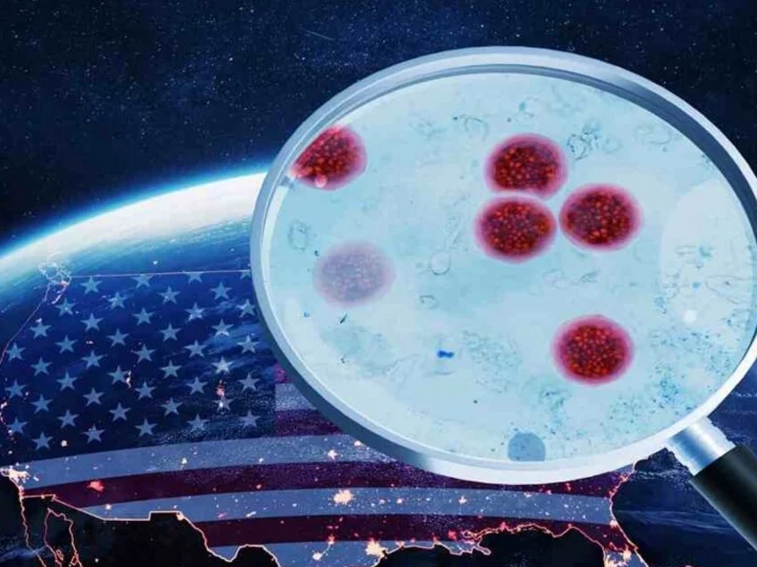 Una bacteria mortal resiste un antibiótico para prevenir contagios. Foto: Envato.