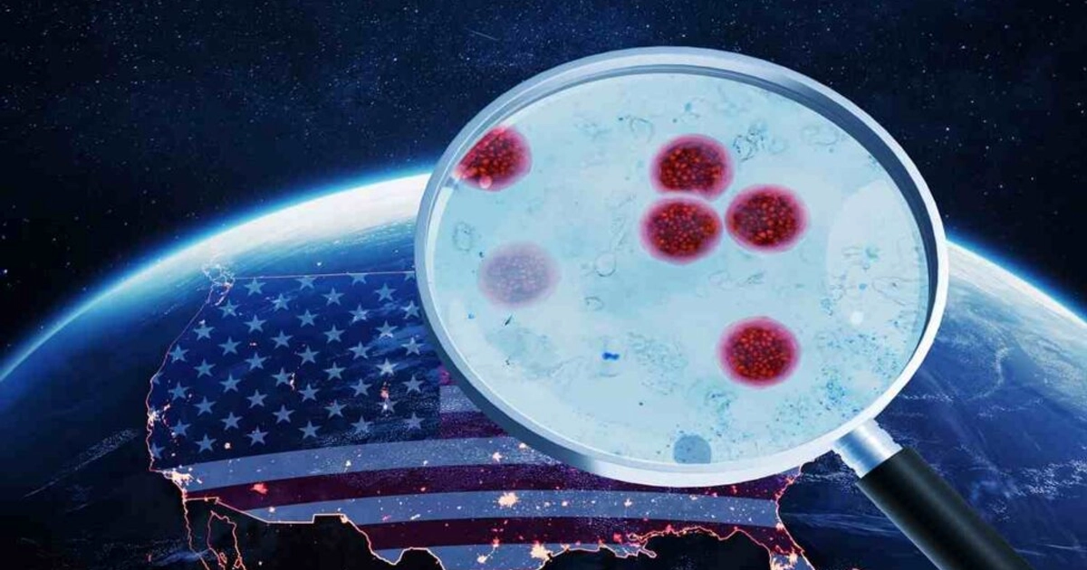 Una bacteria mortal resiste un antibiótico para prevenir contagios. Foto: Envato.