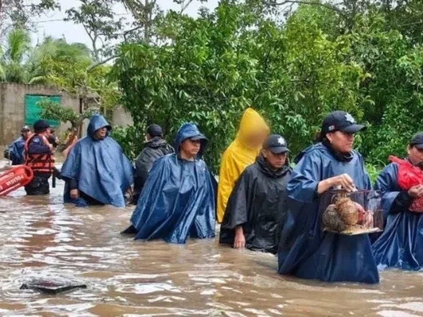 Video: Dejan al menos 11 muertos las graves inundaciones por frente frío 2 en Veracruz