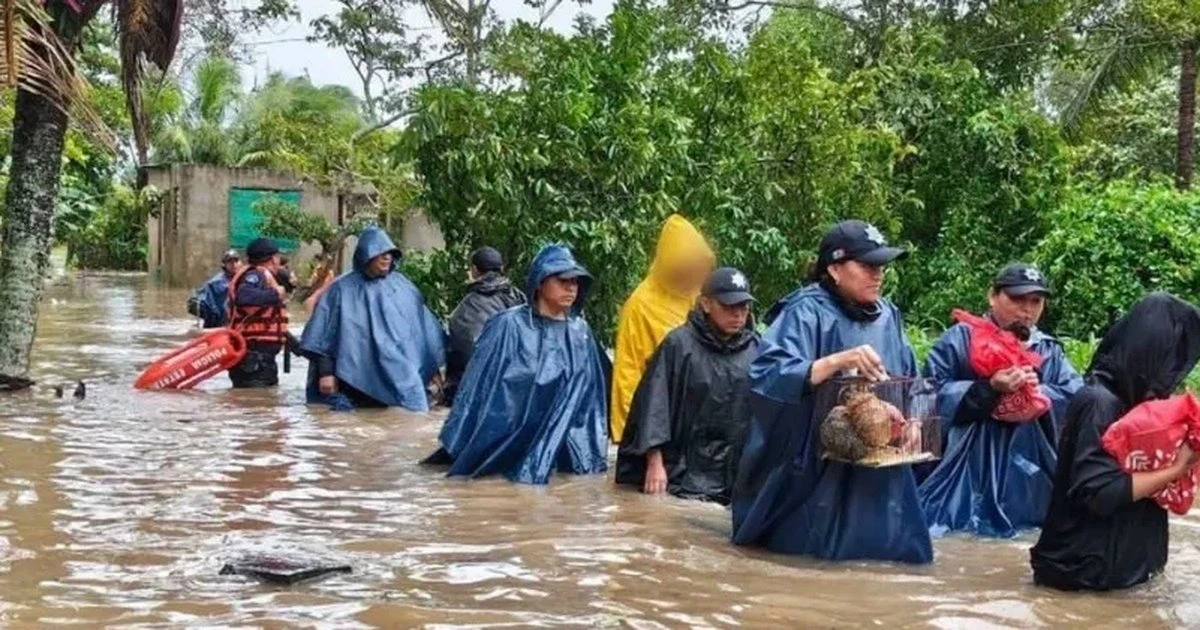 Video: Dejan al menos 11 muertos las graves inundaciones por frente frío 2 en Veracruz